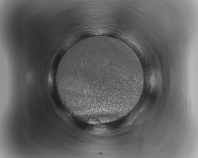 X0000098110214200804111102
