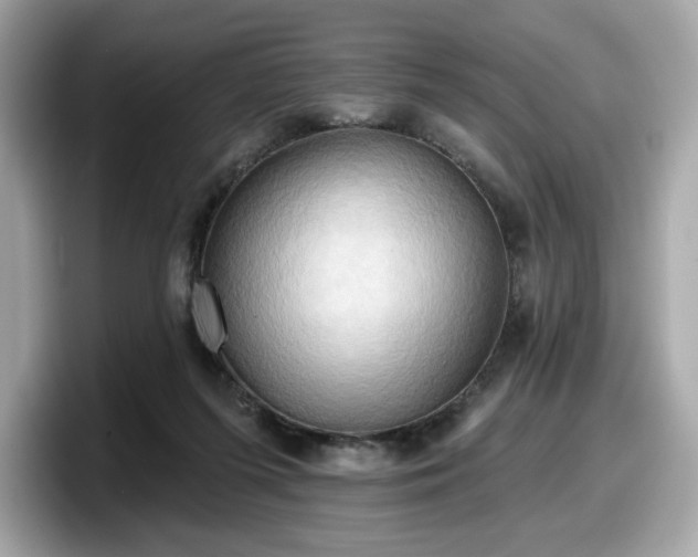 X0000098110215200804111102