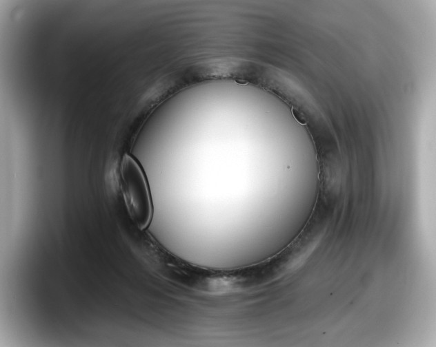 X0000098110216200804111102