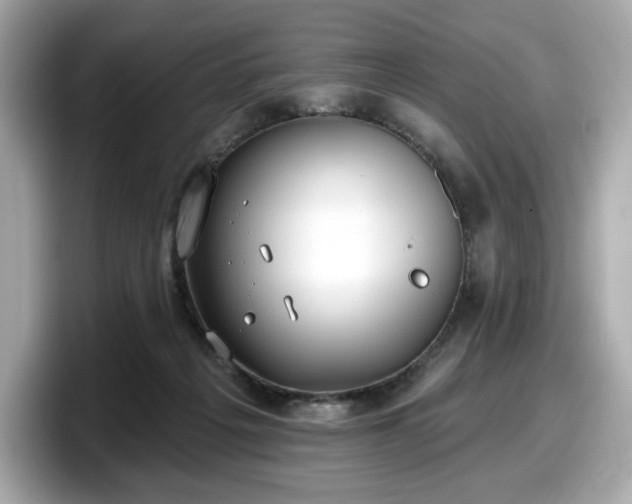X0000098110217200804111102