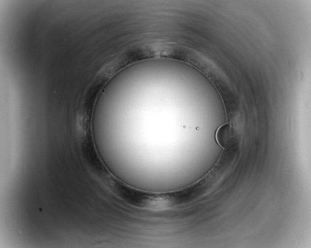 X0000098110218200804111101