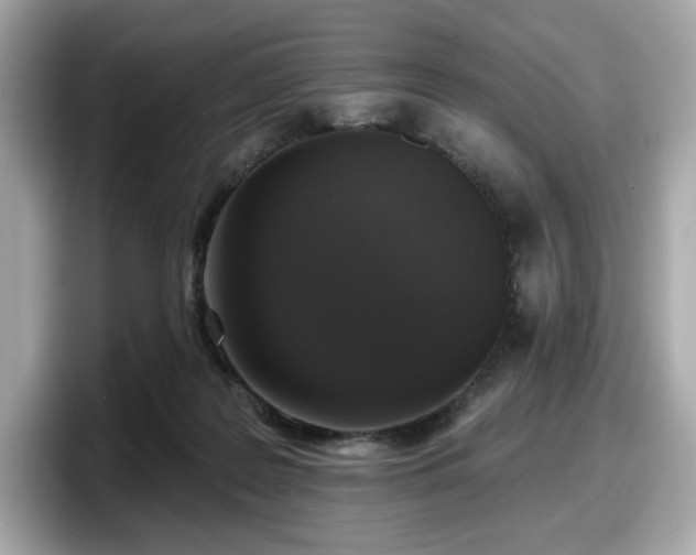 X0000098110219200804111101