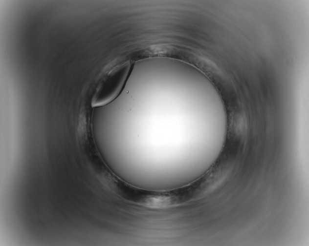 X0000098110220200804111101