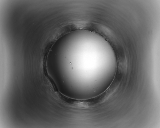 X0000098110221200804111101