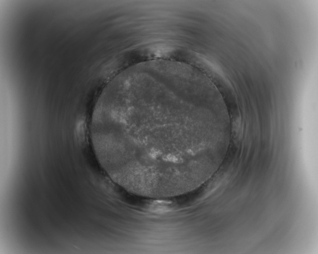 X0000098110222200804111101
