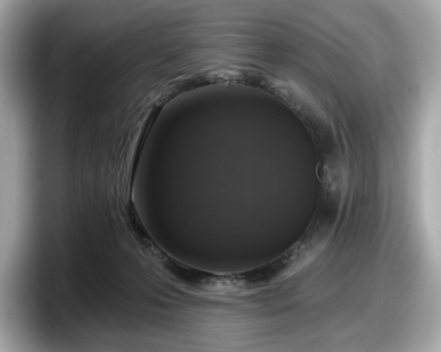 X0000098110223200804111101