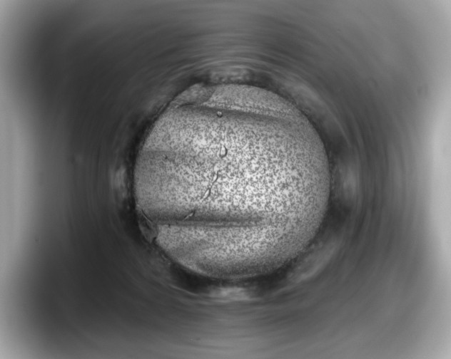 X0000098110224200804111101
