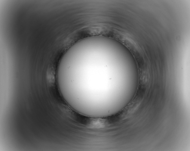 X0000098110226200804111101