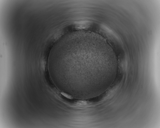 X0000098110227200804111101