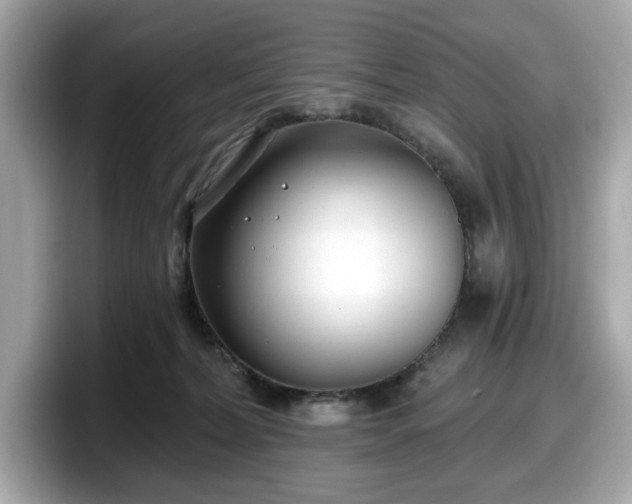 X0000098110228200804111101