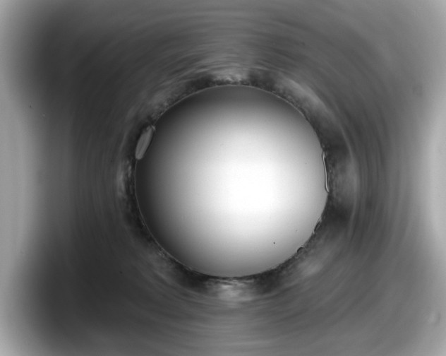 X0000098110229200804111101