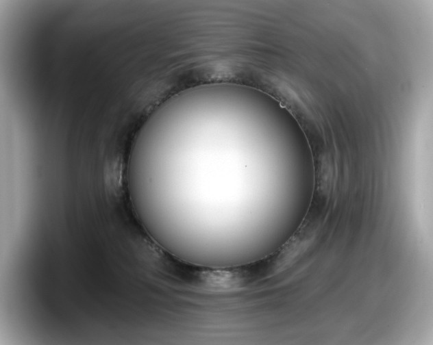 X0000098110230200804111101
