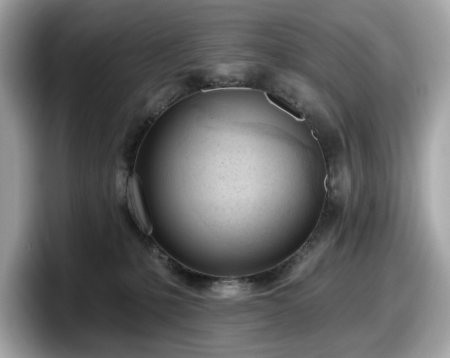 X0000098110231200804111101