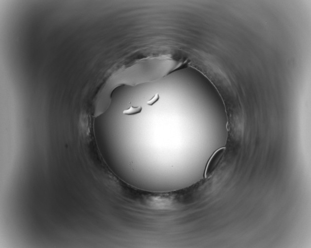 X0000098110232200804111101