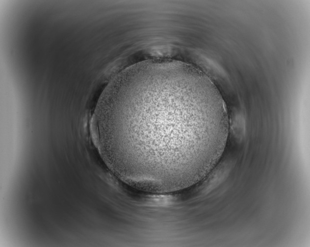 X0000098110233200804111101