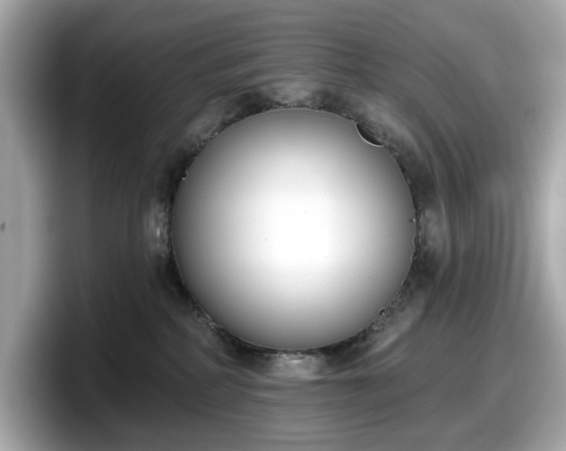 X0000098110234200804111101
