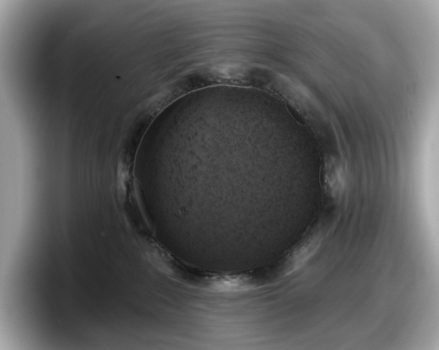 X0000098110235200804111101