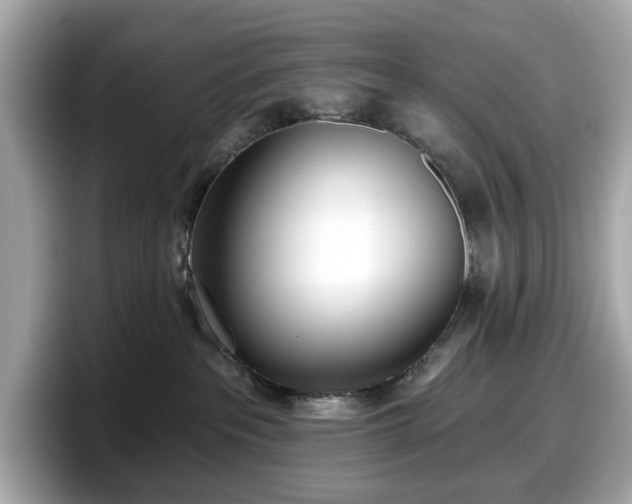 X0000098110237200804111101