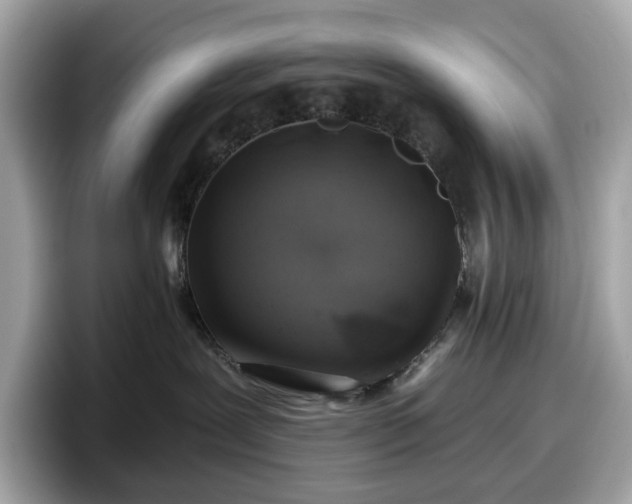 X0000098110239200804111101