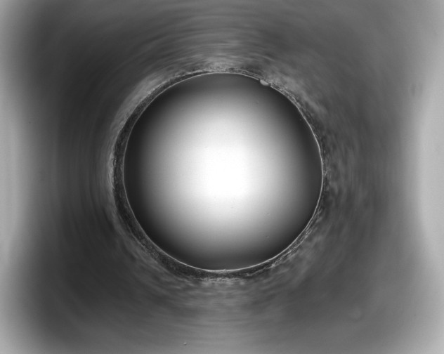 X0000098110242200804111101