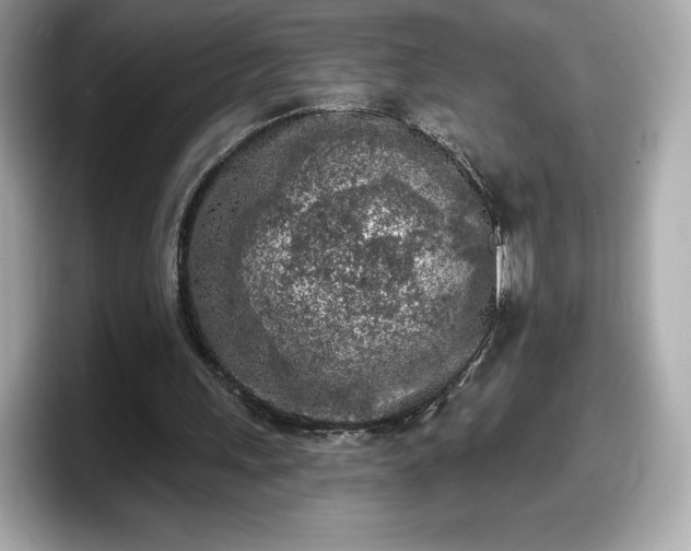 X0000098110243200804111101
