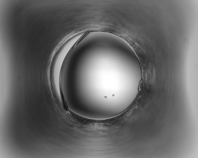 X0000098110244200804111101