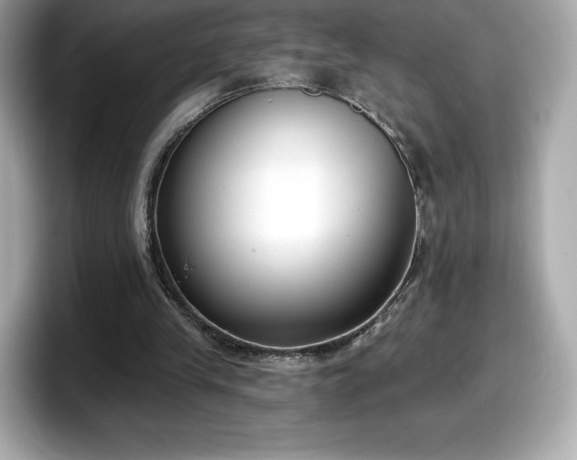 X0000098110245200804111101