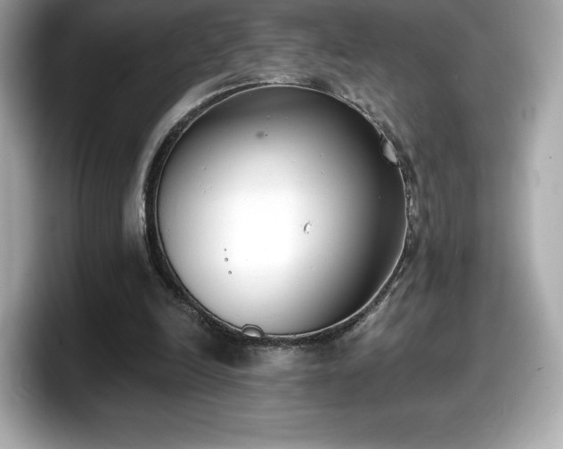 X0000098110246200804111101