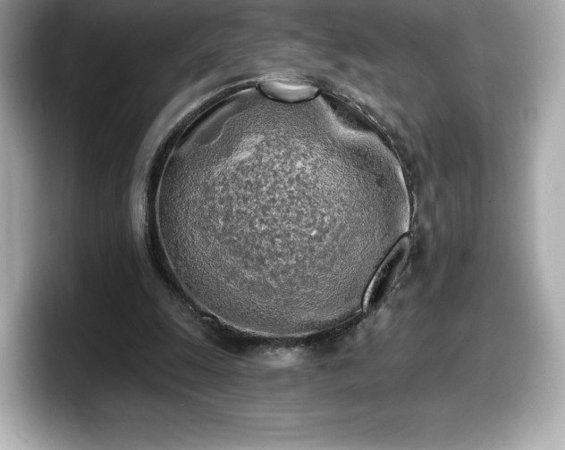 X0000098110247200804111101