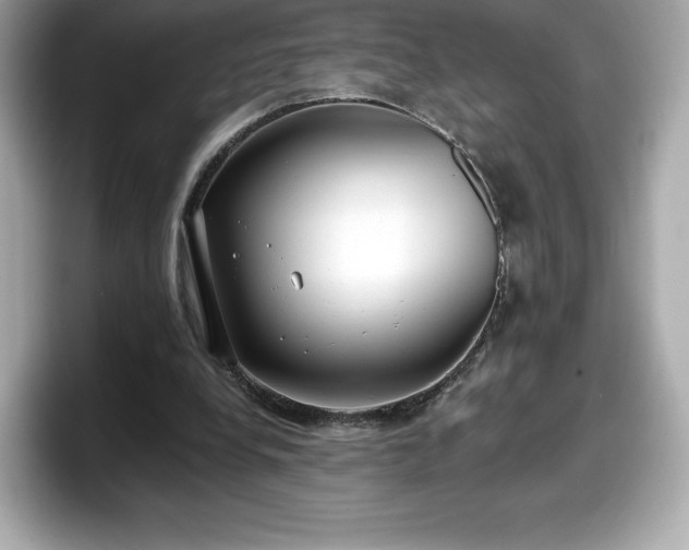 X0000098110248200804111101