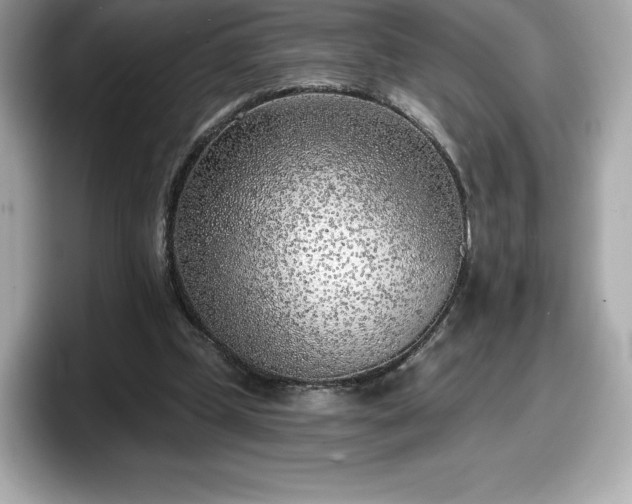 X0000098110249200804111101