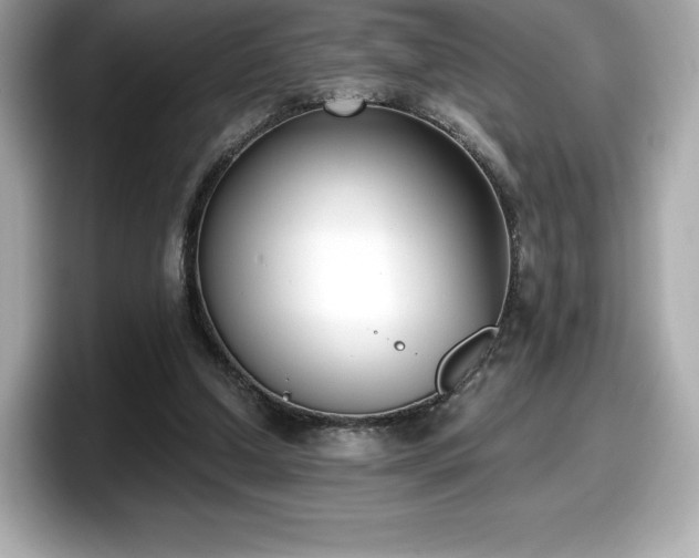 X0000098110250200804111101
