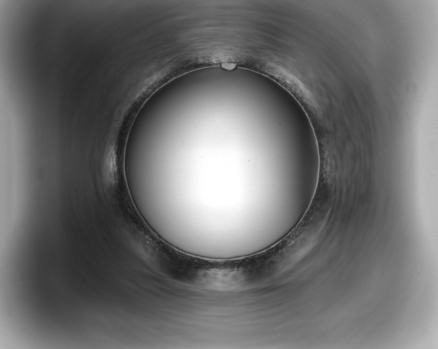 X0000098110251200804111101