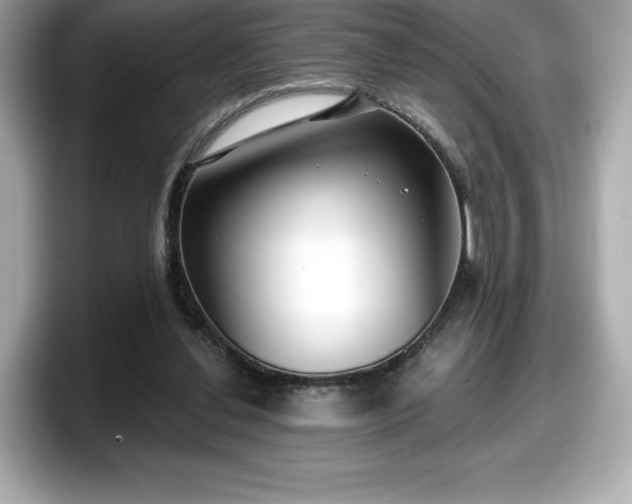 X0000098110252200804111101