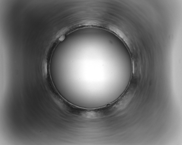 X0000098110253200804111101
