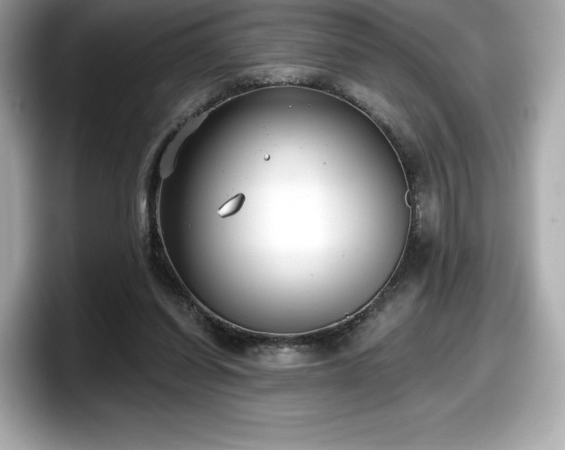 X0000098110254200804111101
