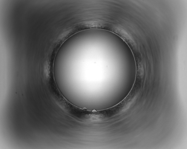 X0000098110255200804111101