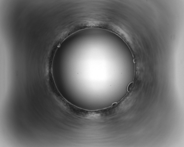 X0000098110257200804111101