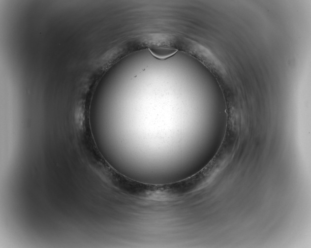 X0000098110259200804111101