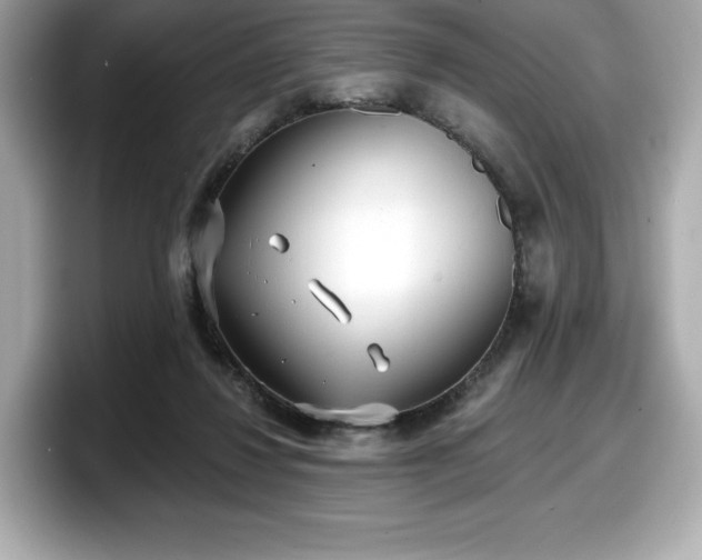X0000098110260200804111101