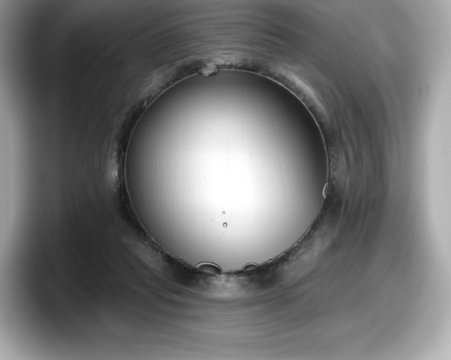 X0000098110261200804111101