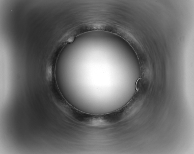 X0000098110262200804111101