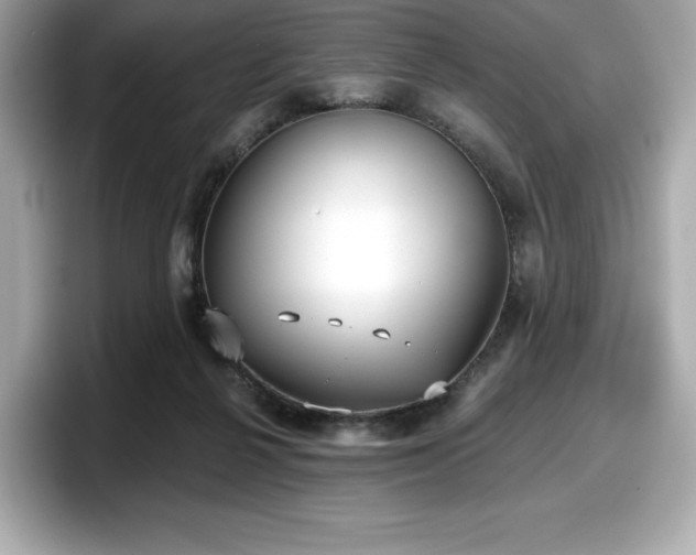 X0000098110264200804111101