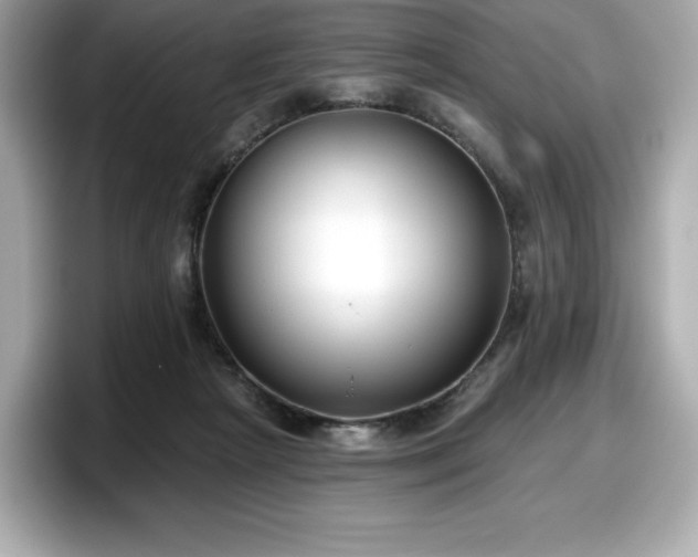 X0000098110265200804111101