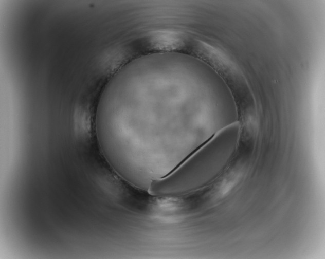 X0000098110268200804111101