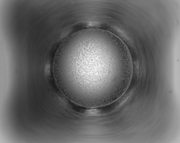 X0000098110269200804111101