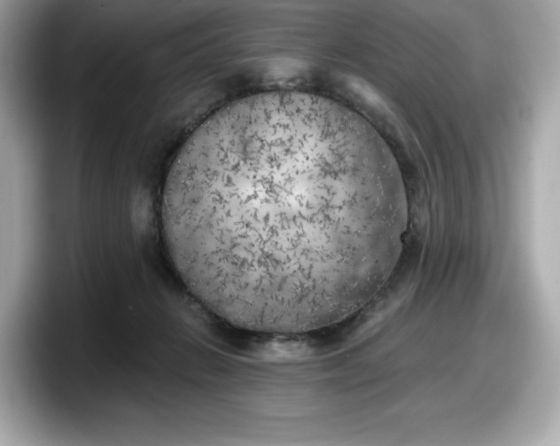 X0000098110270200804111101