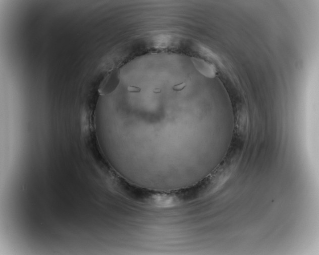 X0000098110272200804111101
