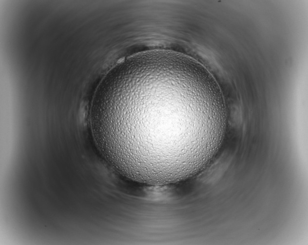 X0000098110273200804111101