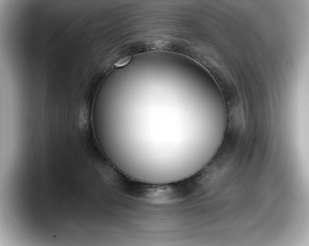 X0000098110274200804111101